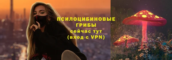 не бодяженный Фурманов
